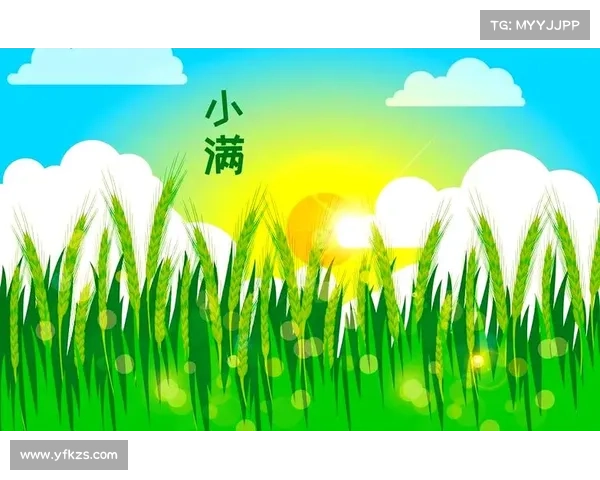小满时节体验乡村生活的五大秘诀让你享受自然与宁静的完美融合 小满时节体验乡村生活的五大秘诀让你享受自然与宁静的完美融合