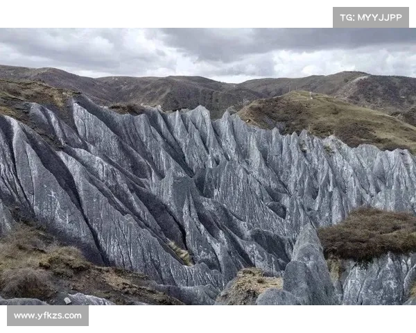 虹色世界的魅力:从自然奇观到文化象征的多维探索与深度解析 虹色世界的魅力:从自然奇观到文化象征的多维探索与深度解析