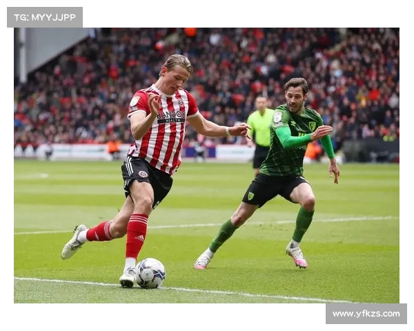 加的夫城足球队深度解析：你不可不知的联赛表现与历史荣光